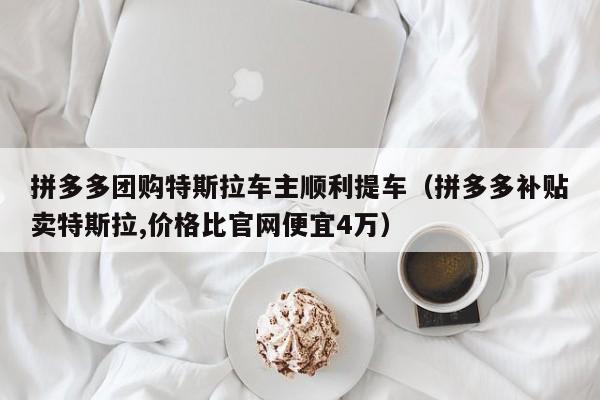 拼多多团购特斯拉车主顺利提车（拼多多补贴卖特斯拉,价格比官网便宜4万）