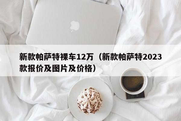 新款帕萨特裸车12万（新款帕萨特2023款报价及图片及价格）