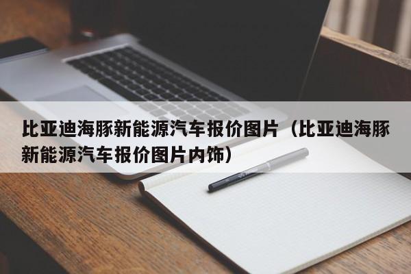 比亚迪海豚新能源汽车报价图片（比亚迪海豚新能源汽车报价图片内饰）