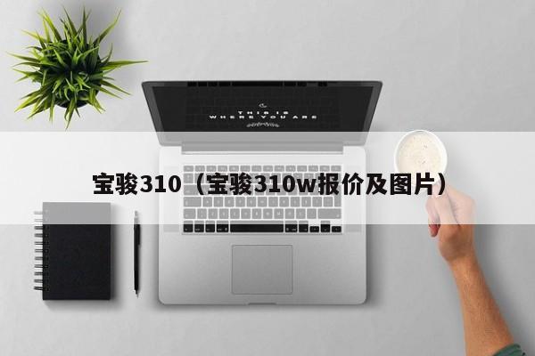 宝骏310（宝骏310w报价及图片）