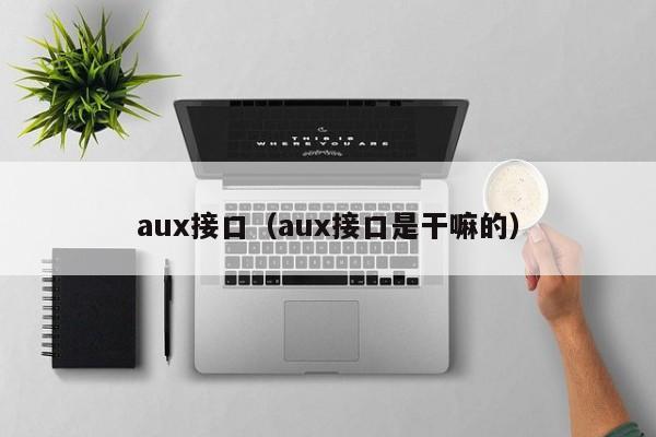 aux接口（aux接口是干嘛的）