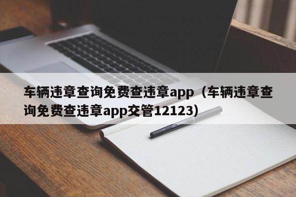 车辆违章查询免费查违章app（车辆违章查询免费查违章app交管12123）