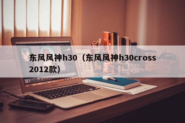 东风风神h30（东风风神h30cross2012款）