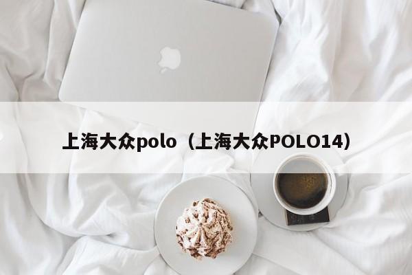 上海大众polo（上海大众POLO14）