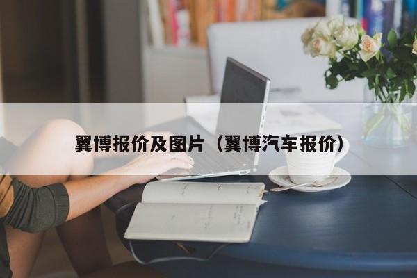 翼博报价及图片（翼博汽车报价）