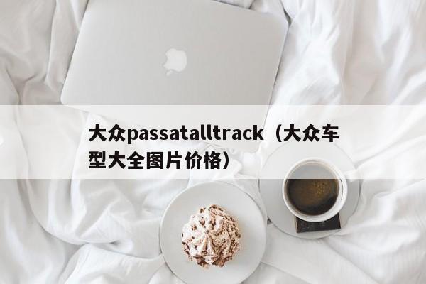 大众passatalltrack（大众车型大全图片价格）