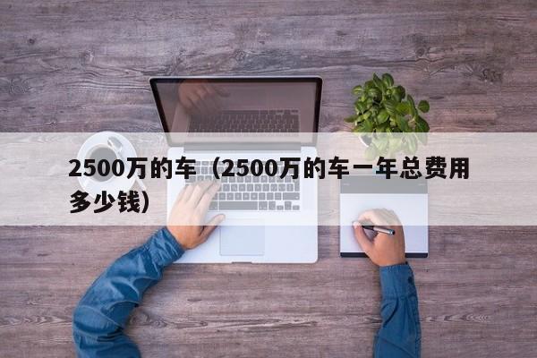 2500万的车（2500万的车一年总费用多少钱）