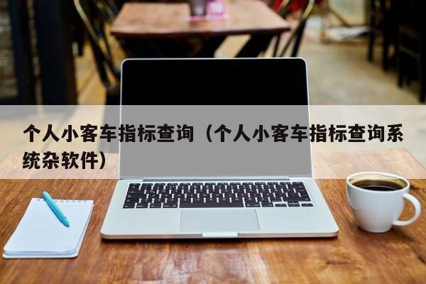 个人小客车指标查询（个人小客车指标查询系统杂软件）