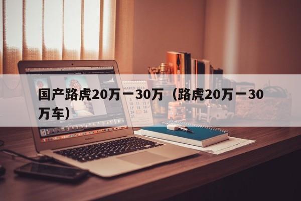 国产路虎20万一30万（路虎20万一30万车）