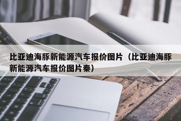 比亚迪海豚新能源汽车报价图片（比亚迪海豚新能源汽车报价图片秦）