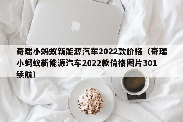 奇瑞小蚂蚁新能源汽车2022款价格（奇瑞小蚂蚁新能源汽车2022款价格图片301续航）