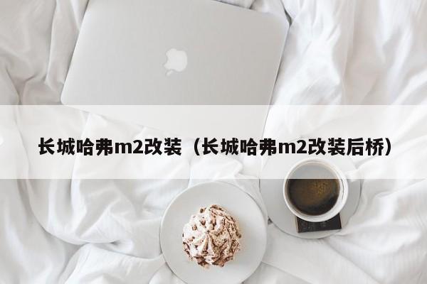 长城哈弗m2改装（长城哈弗m2改装后桥）