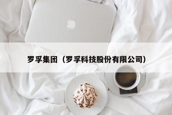 罗孚集团（罗孚科技股份有限公司）