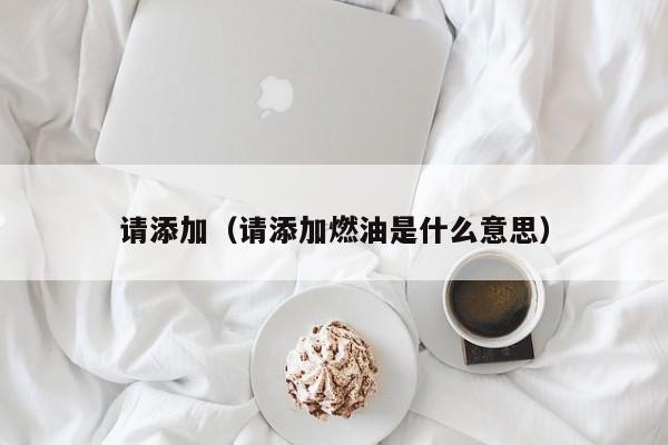 请添加（请添加燃油是什么意思）