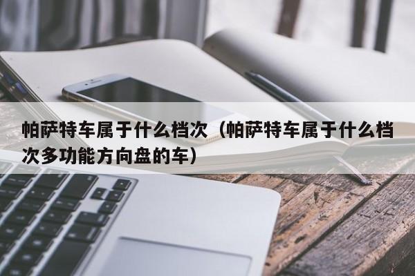 帕萨特车属于什么档次（帕萨特车属于什么档次多功能方向盘的车）