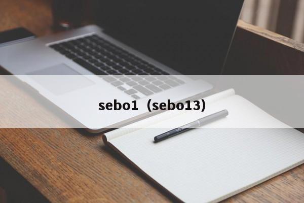 sebo1（sebo13）