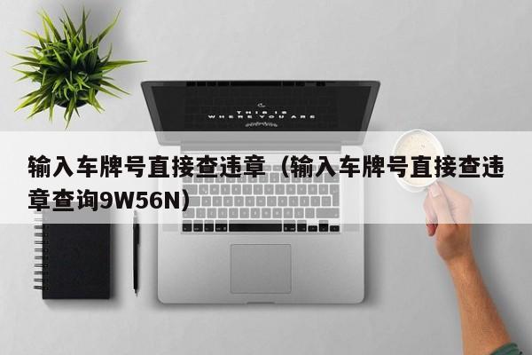 输入车牌号直接查违章（输入车牌号直接查违章查询9W56N）