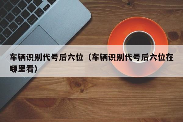 车辆识别代号后六位（车辆识别代号后六位在哪里看）