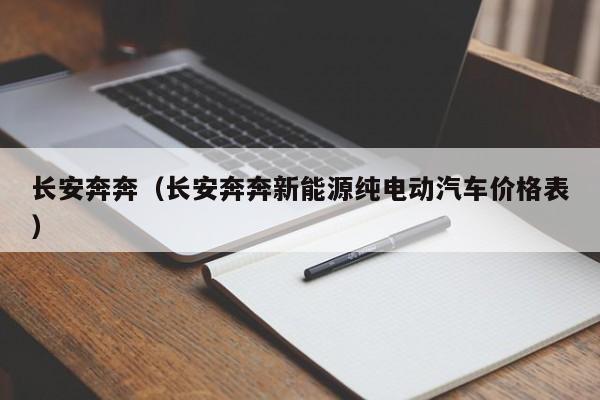 长安奔奔（长安奔奔新能源纯电动汽车价格表）