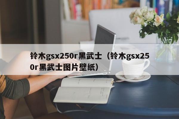 铃木gsx250r黑武士（铃木gsx250r黑武士图片壁纸）