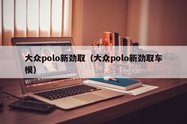 大众polo新劲取（大众polo新劲取车模）