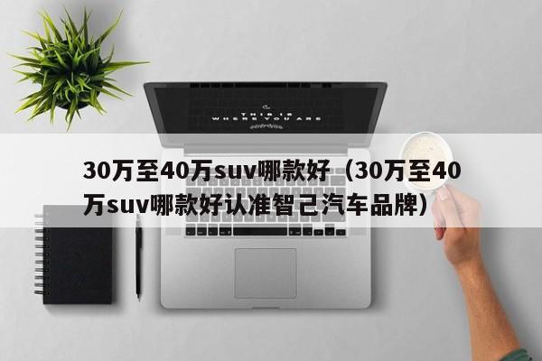 30万至40万suv哪款好（30万至40万suv哪款好认准智己汽车品牌）