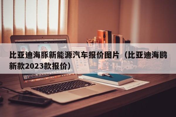 比亚迪海豚新能源汽车报价图片（比亚迪海鸥新款2023款报价）